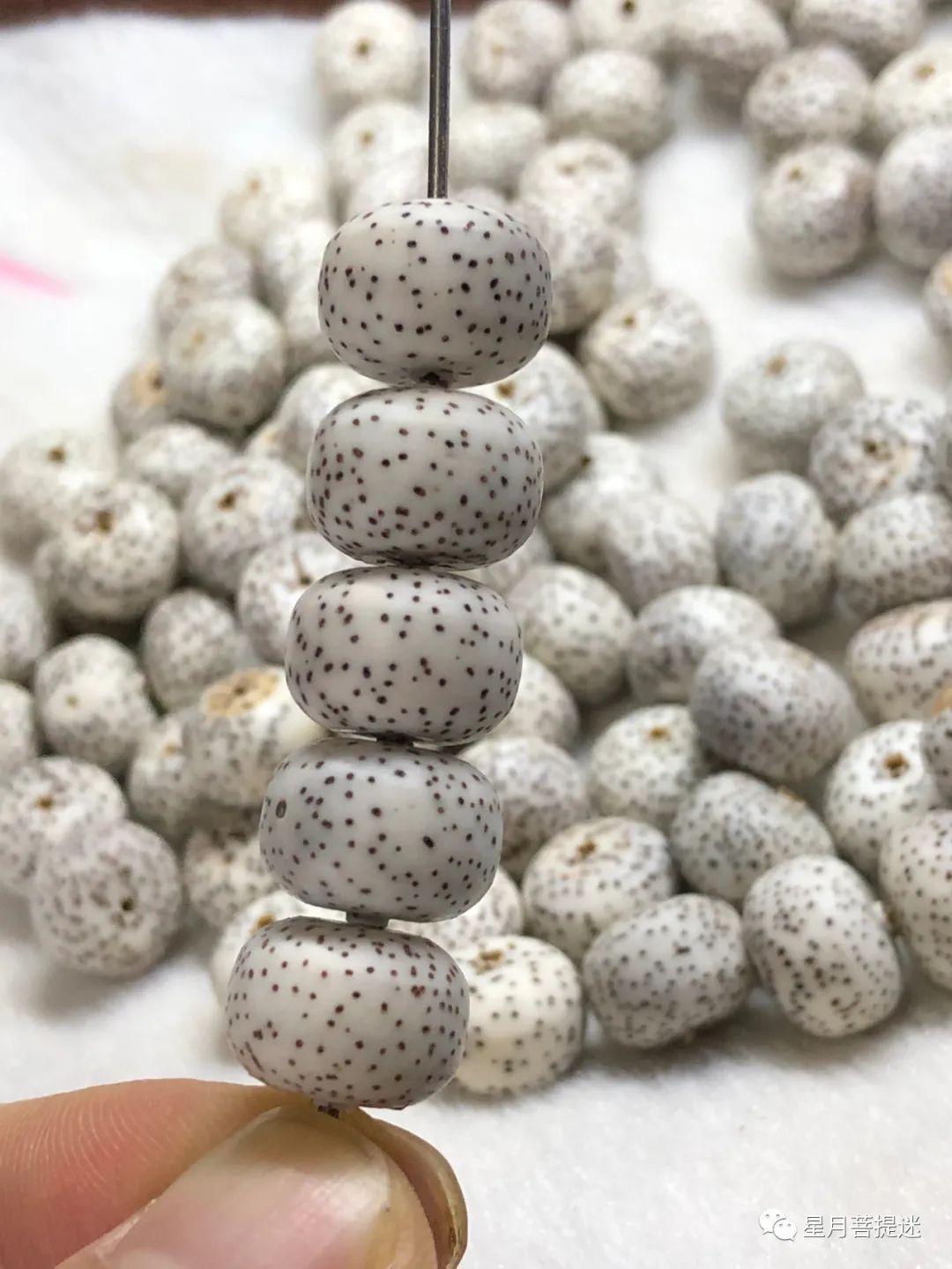 星月菩提如何选择合适自己的,星月菩提怎么挑选才是正确的