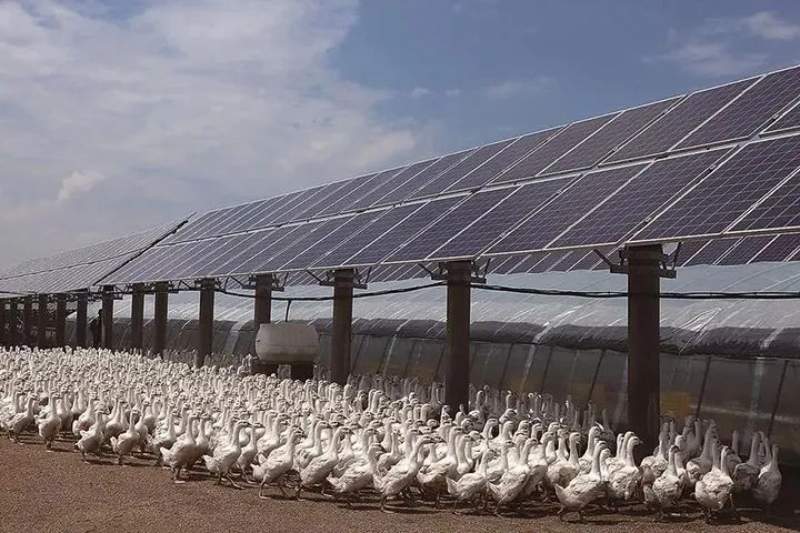 拼多多羽绒服不发货,羽绒服全国缺货