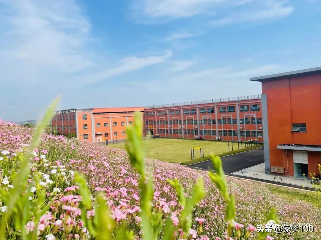 武汉最好高中推荐,武汉怎样选择合适的高中