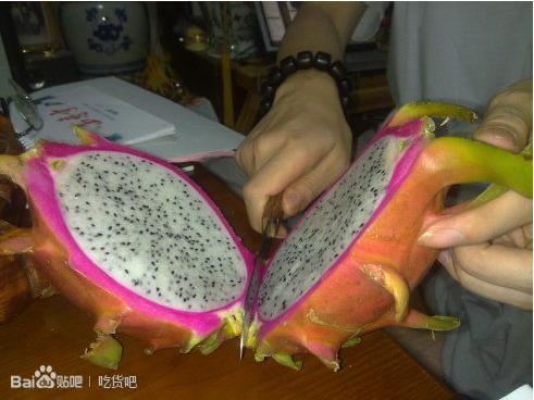 适合三月吃的美食有哪些,3月底适合吃美食