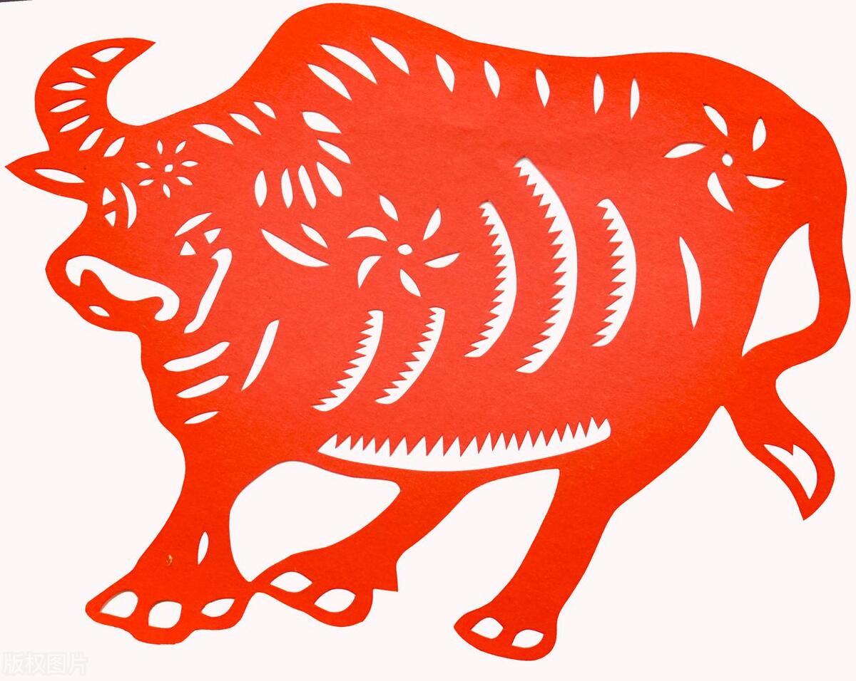 今年运势暴涨喜事不断的三个生肖,这三大生肖人生逆袭中年时来运转