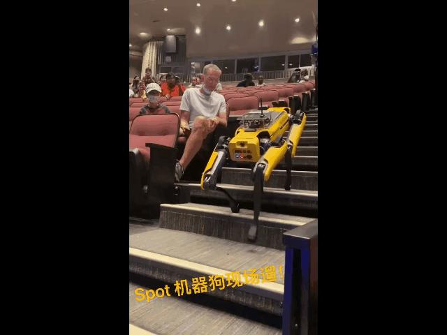 遛机械狗兼职,遛机械狗