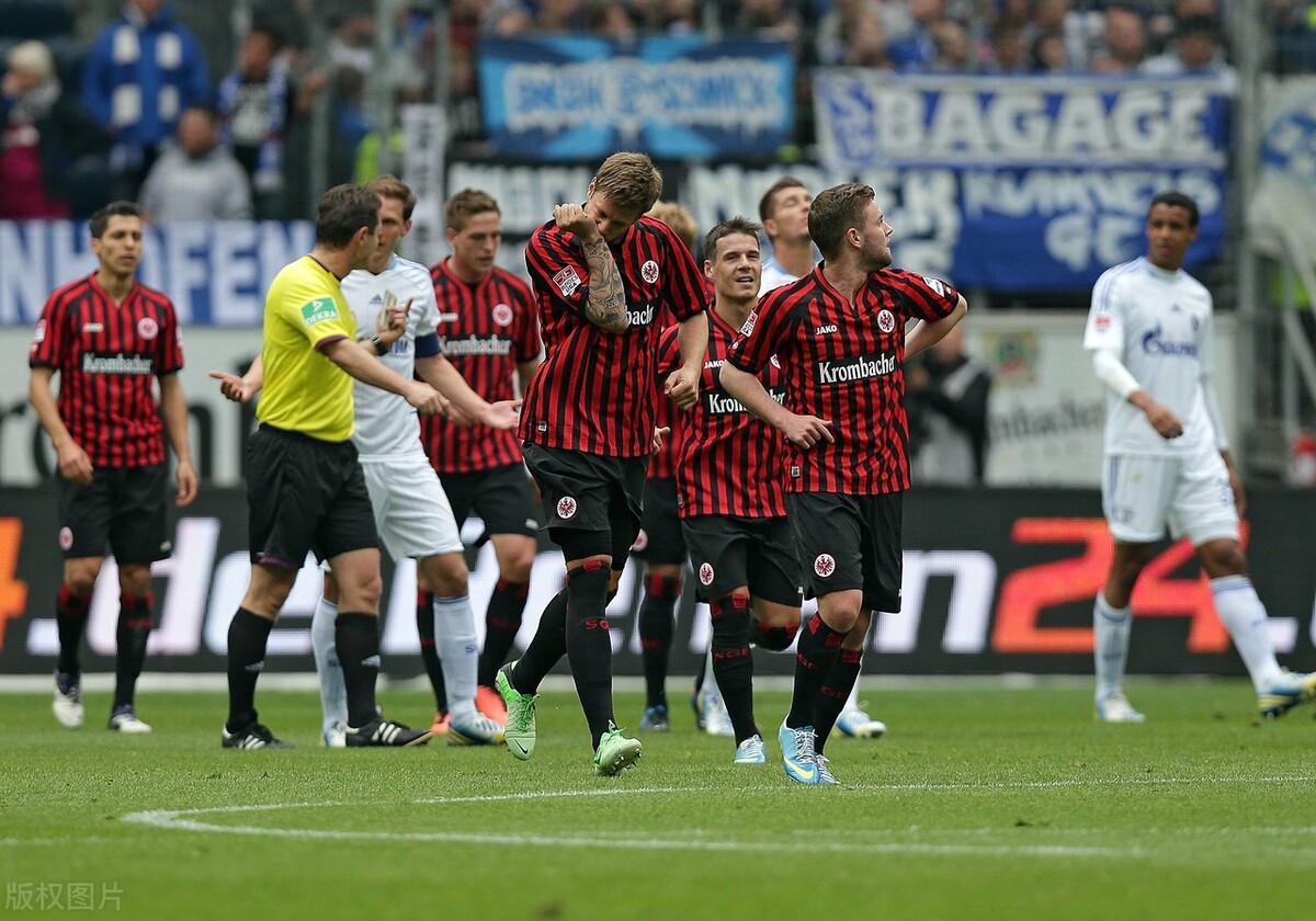 五大联赛升班马2023-2024,五大联赛升班马大全