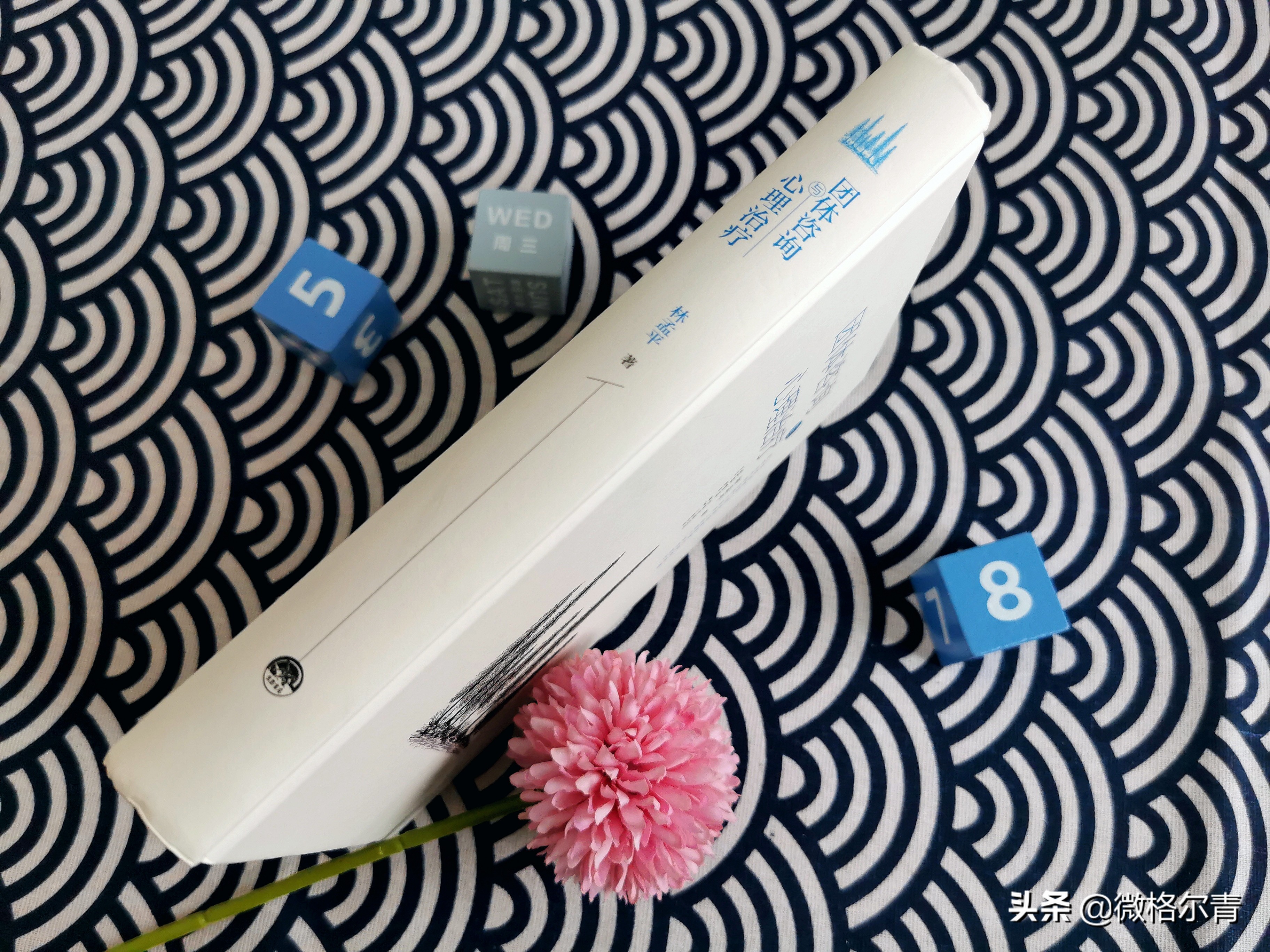 团体咨询与治疗：抱团取暖，彼此成就自我之路