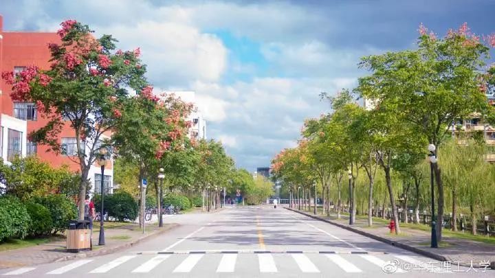 官方发布！教育部揭晓“重磅”获奖名单，华东理工大学8次被“提及”！