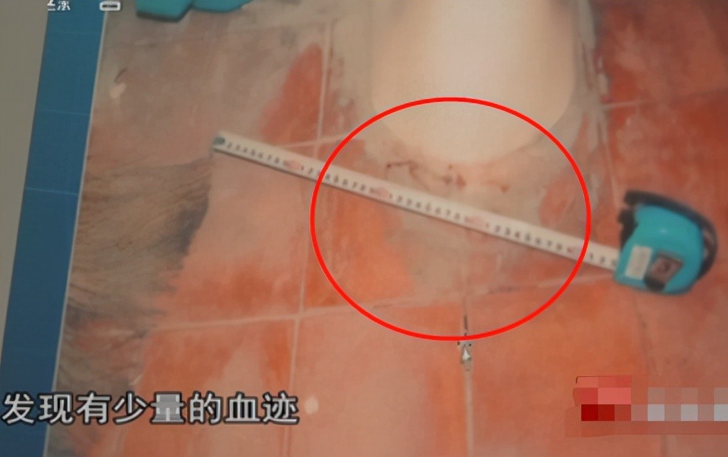 最近一年的女孩失踪案有哪些,陕西10岁女孩失踪案最新结果