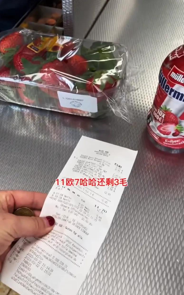 在德国一欧元能买什么,德国一小时工资能买什么