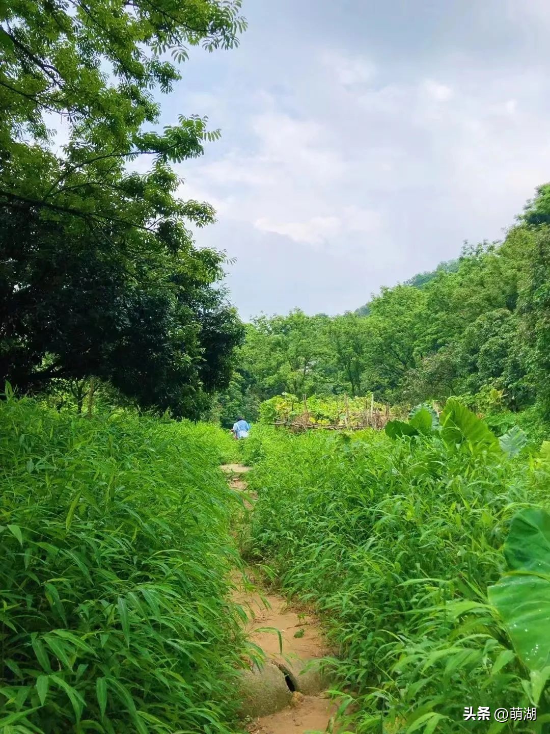 广州这个竹林溯溪胜地玩水,清凉避暑好去处山洞里一起来玩水