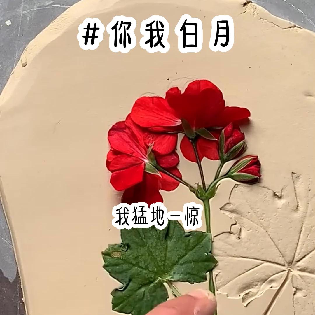 你我白月，每日一推！