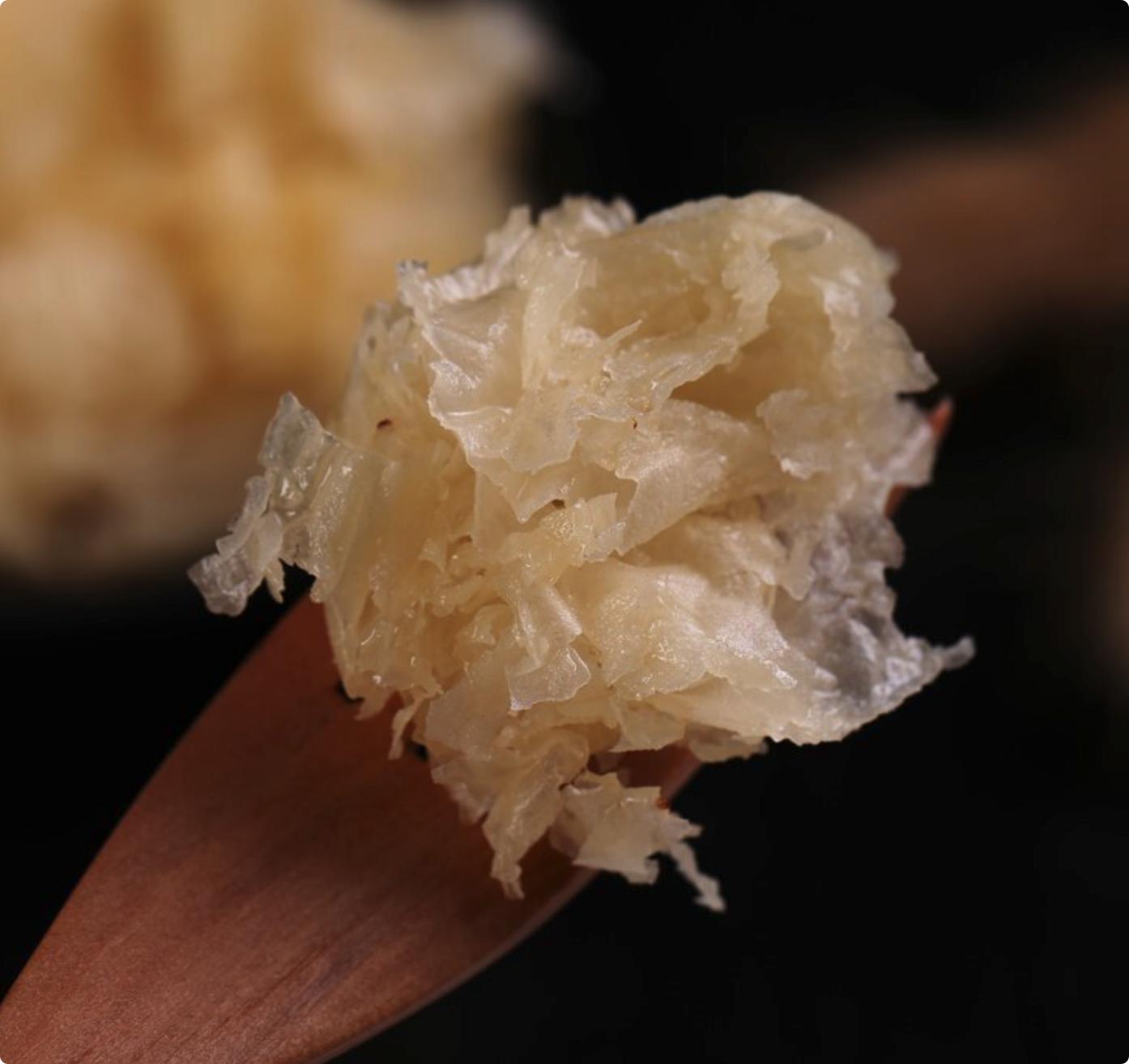 特色糕点怎么选 (怎样挑选好吃的糕点)