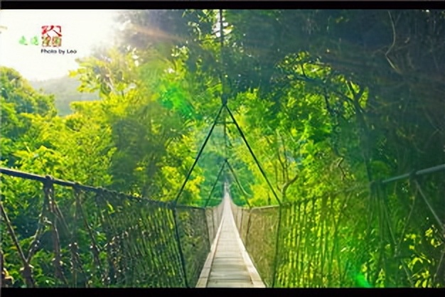 新冠肺炎历史每日数据,新冠肺炎历史全集