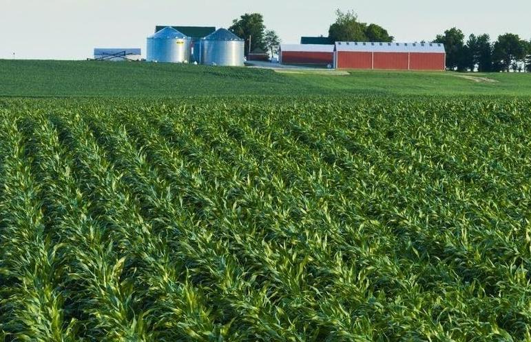 农村空心化国家如何解决,农村空心化有些什么