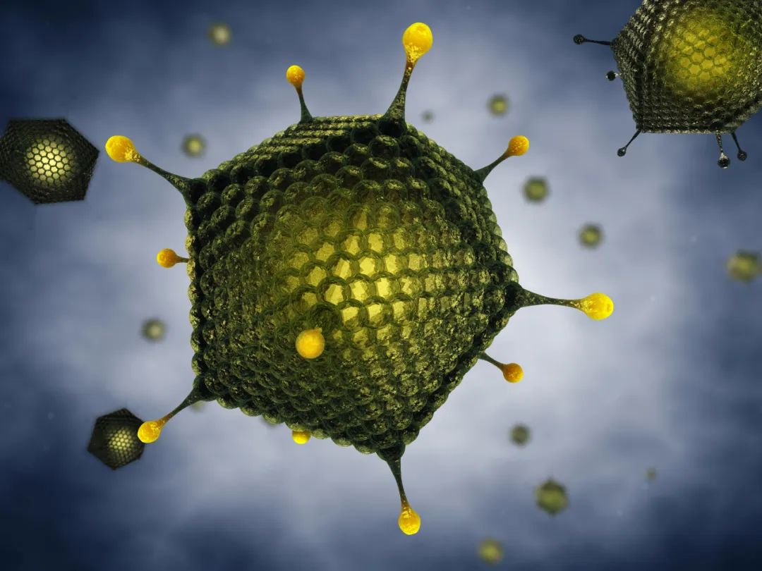 腺病毒可以用哪些药,腺病毒用双黄连可以吗