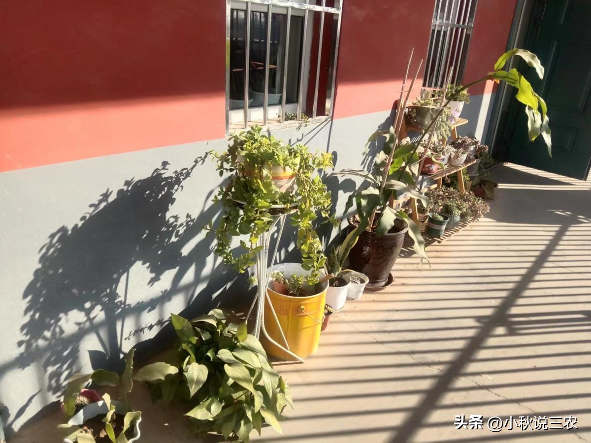 农村自建房朝向最佳方向,农村自建房房后采光方案