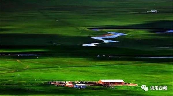 西藏那曲畜产品展销 (西藏那曲畜产品展销场航拍)