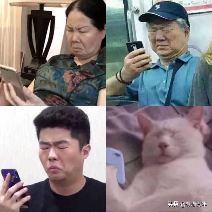 猫核酸检测有必要做吗,猫做核酸粤语视频