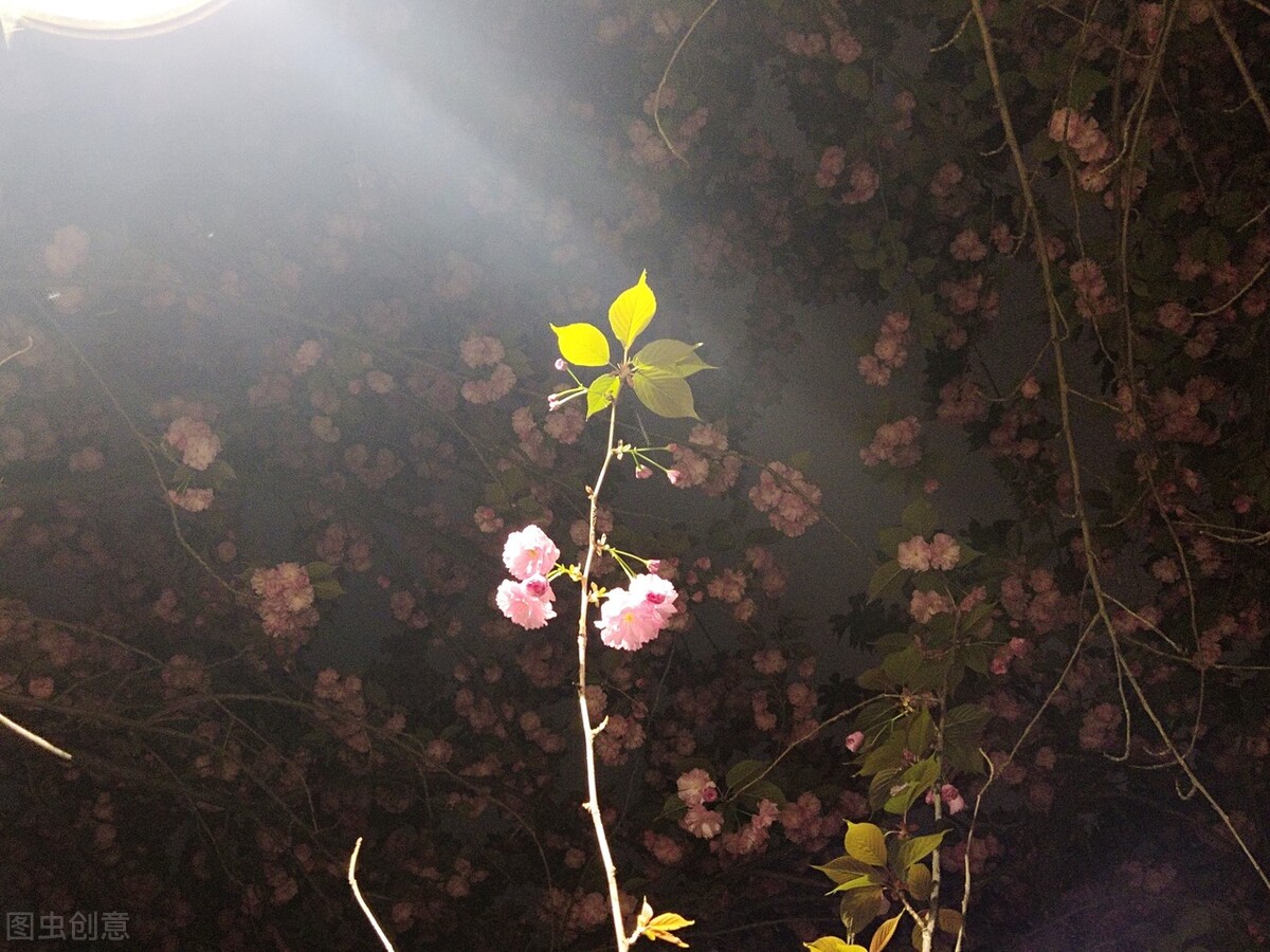 减肥老是失败还越来越胖什么原因,身体肥胖很难减肥是为什么