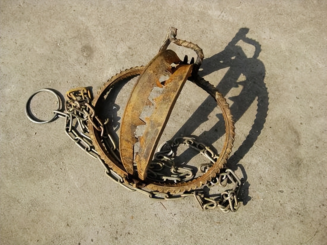 猎人捕猎的工具有哪些,原始猎人捕猎技巧有哪些