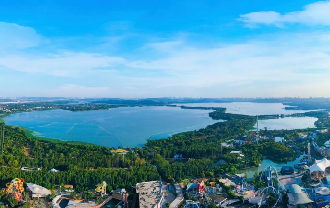 带你们看一套武汉顶级豪宅,武汉最值得买的豪宅