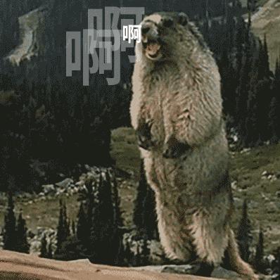 摊牌了！190+服装定制企业已入驻2022TCE上海站