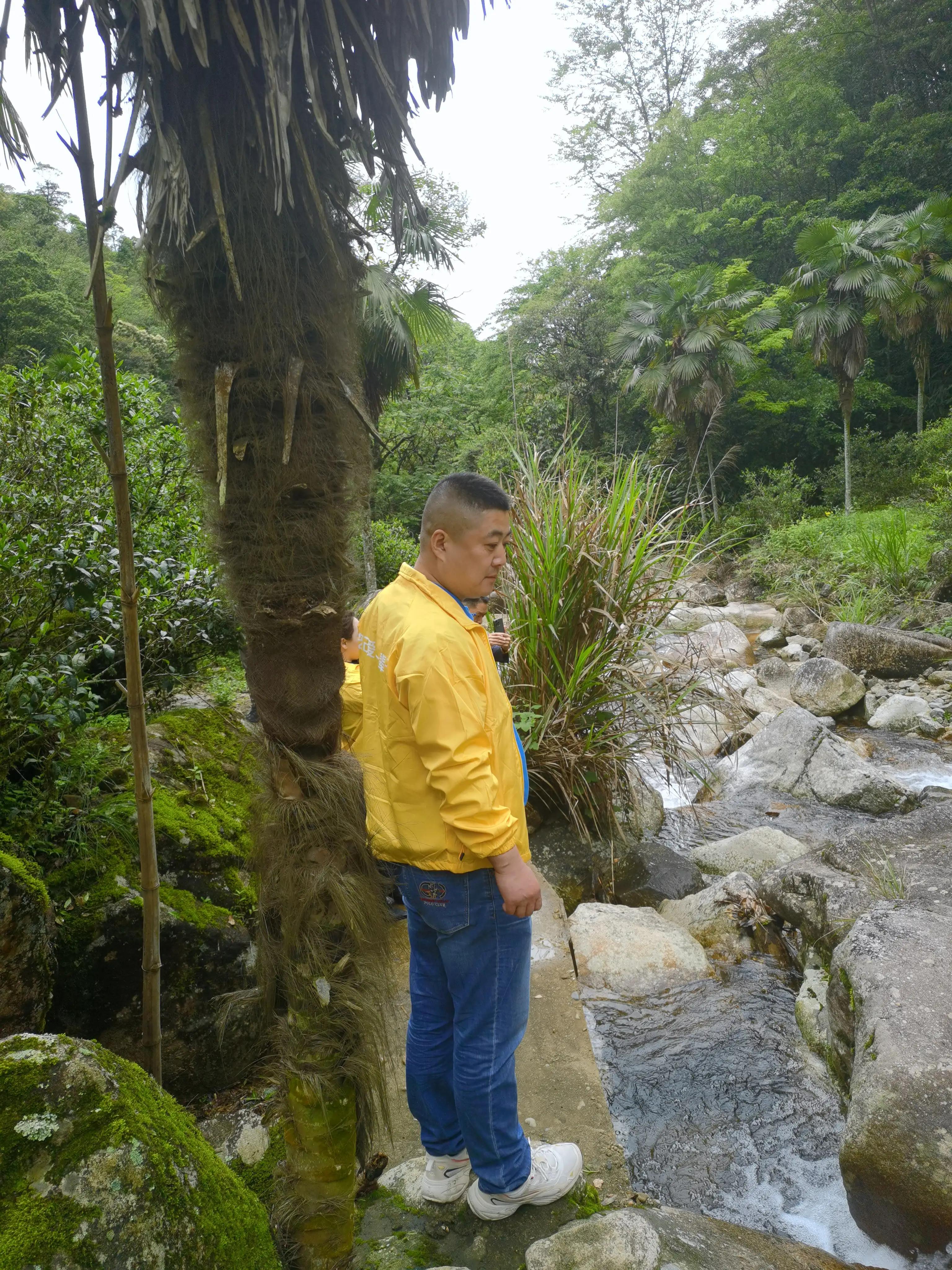 济南茶叶招商加盟咨询,济南大红袍茶叶招商加盟