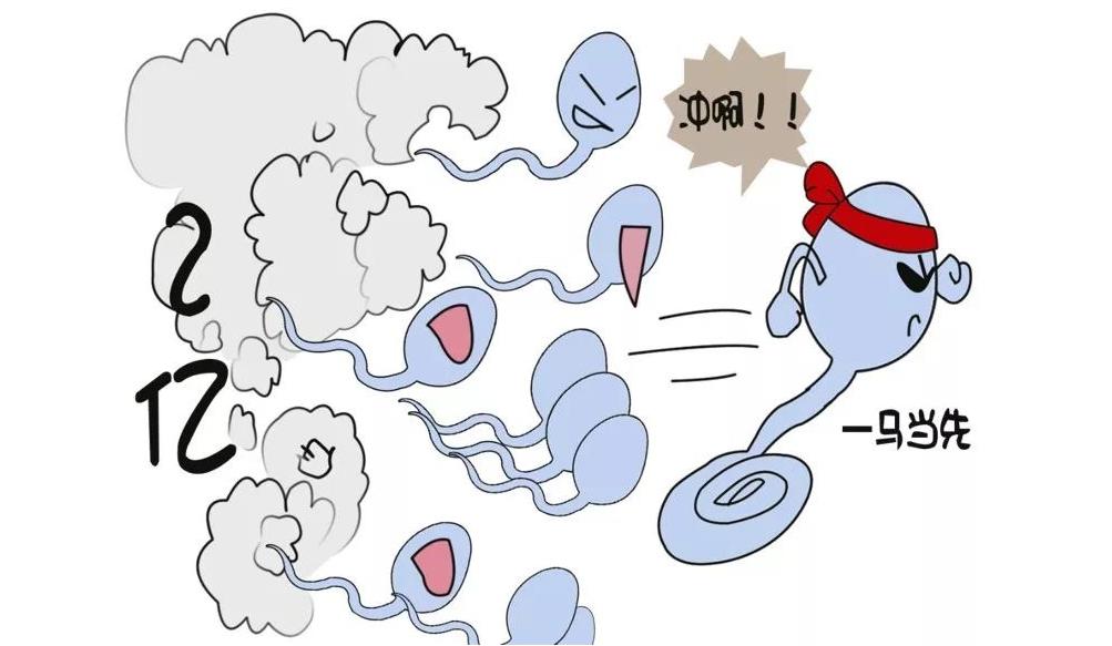 一个医学科普视频,医学科普一男一女