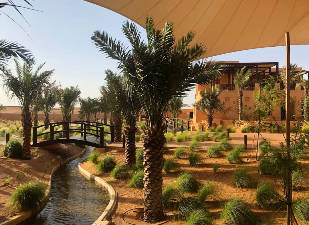 沙漠帐篷营地效果图大全,全国最好的沙漠营地排名