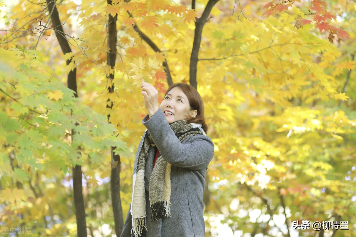 拍摄失误毁照片,拍摄失误的镜头叫什么