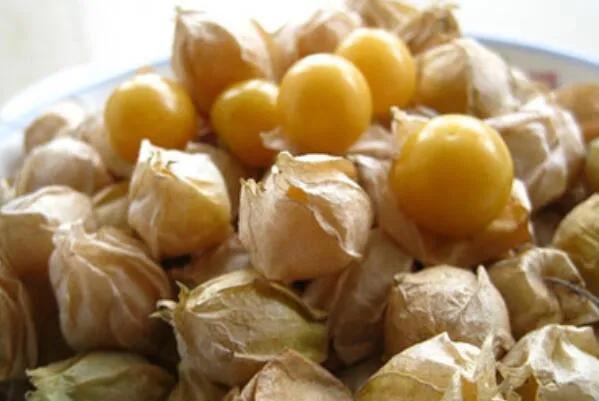 100多种罕见水果欣赏,100种罕见水果名字