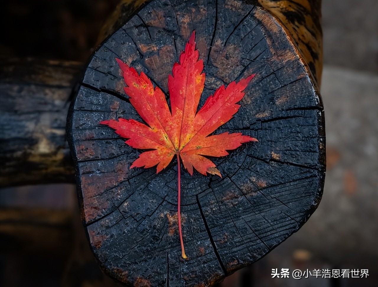 辽宁最值得去的十个景点,辽宁必去十大景点有哪些