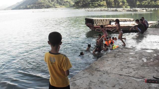 海南报恩巨蟒现况,巨蟒为报恩甘愿当“保姆”