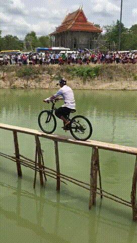 爆笑的动图,爆笑动图大集锦