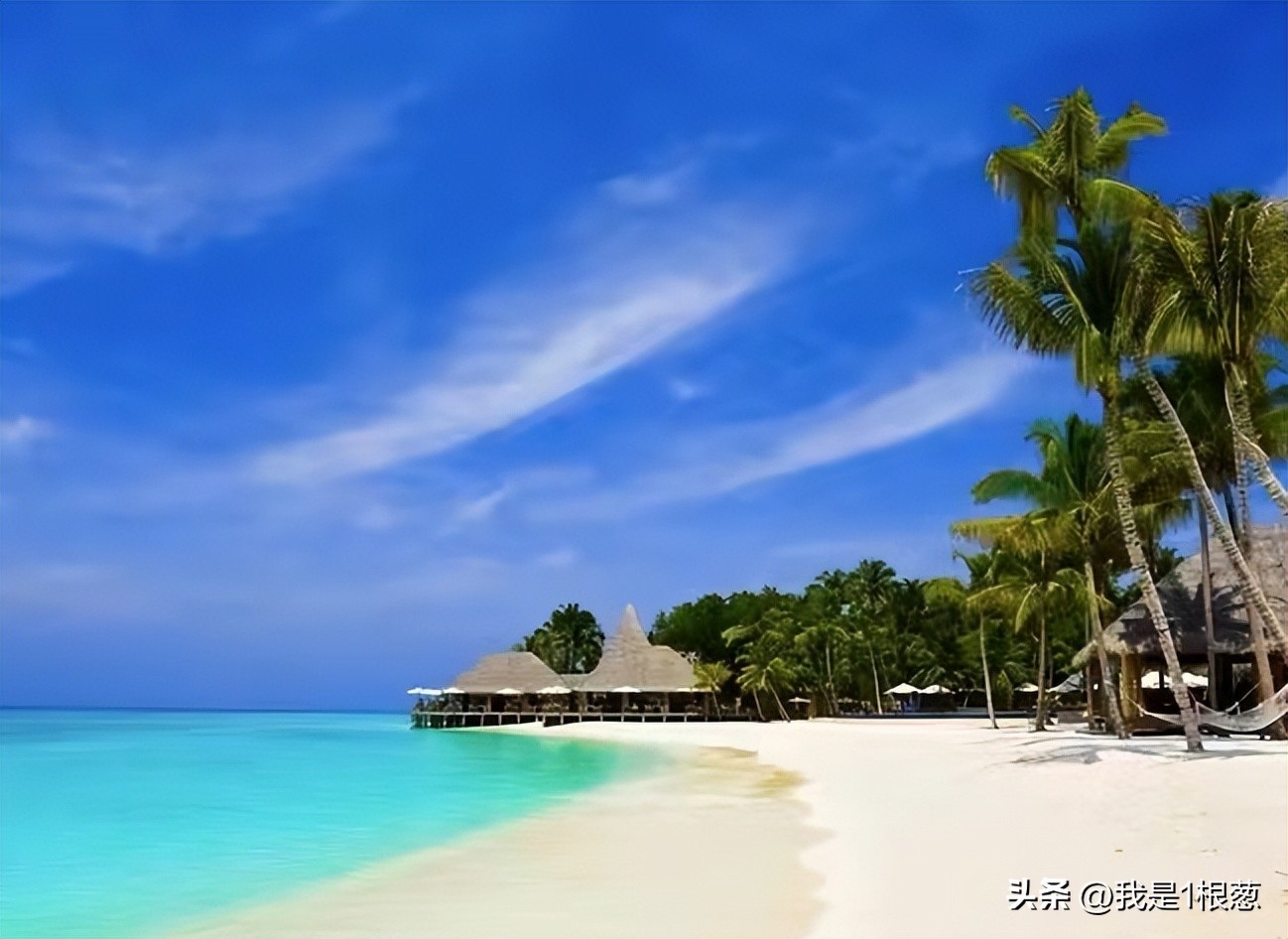 请各大官媒带头，好好说话！