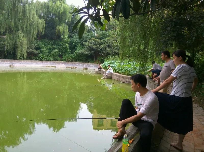 野钓同时钓鲤鱼和草鱼用什么钩好,野钓草鱼钓石头还是沙滩