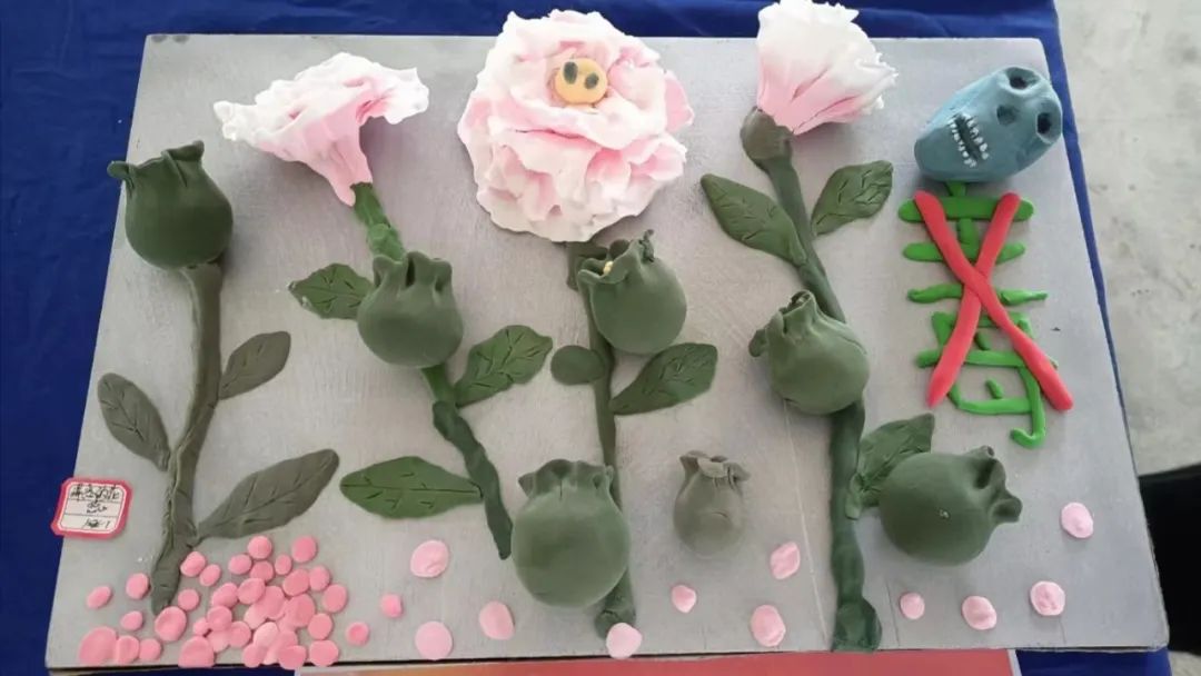 怎样在县城铺一张青少年*品毒**预防教育网？