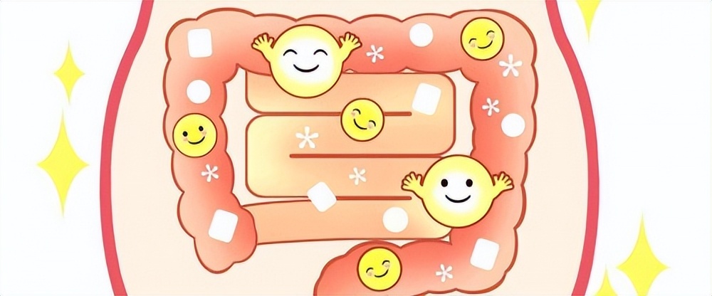 肠胃不好睡觉前怎么调理,饭后半小时怎么保养肠胃