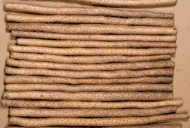 我爱我的家乡滨州市,我的家乡在滨州的作文