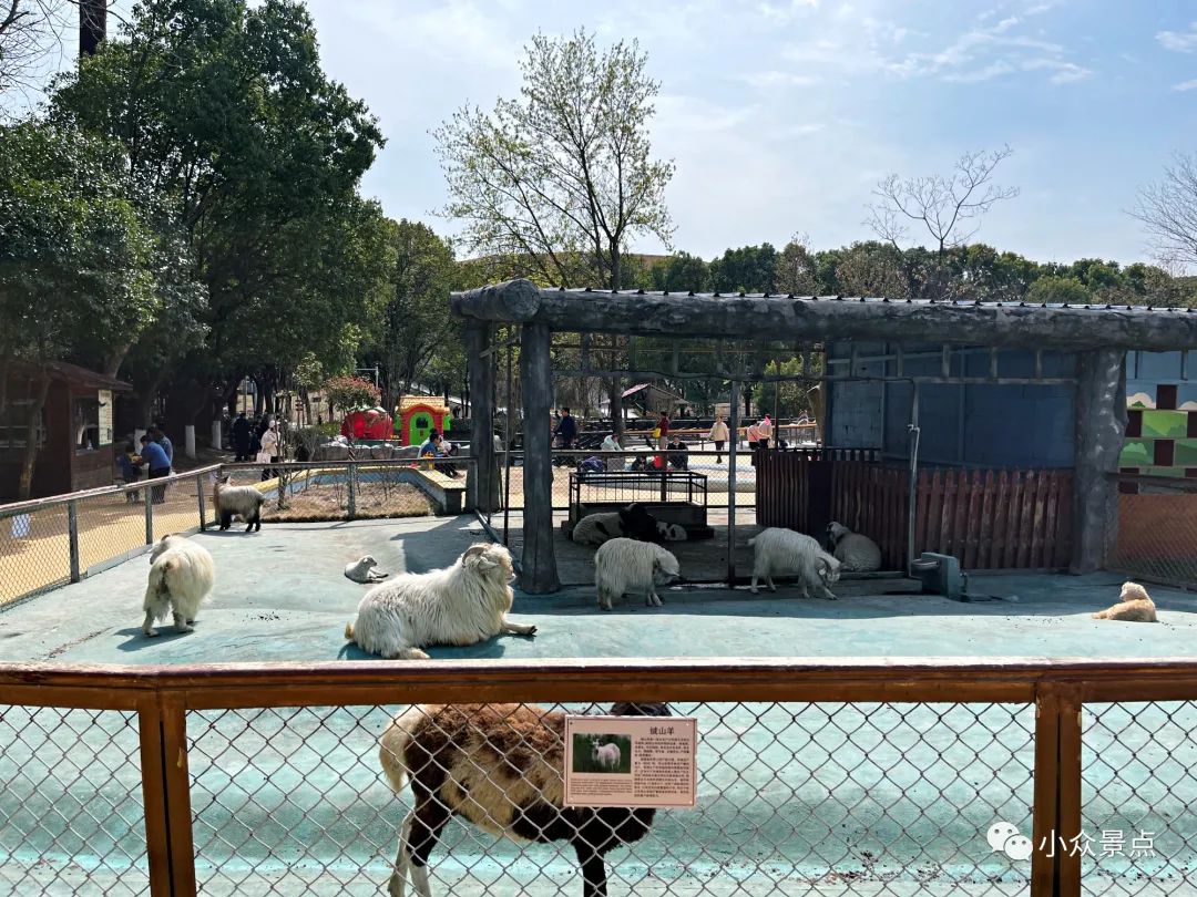 珍珠泉风景区：江北第一游观之所，南京后花园，老山绿色天堂~