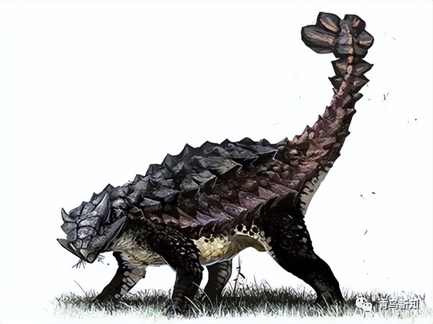 恐龙主题的铠甲可穿戴,恐龙战士怎么变身