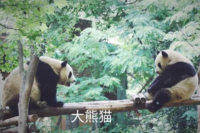 成都十大美丽之城,大美成都之景点探秘