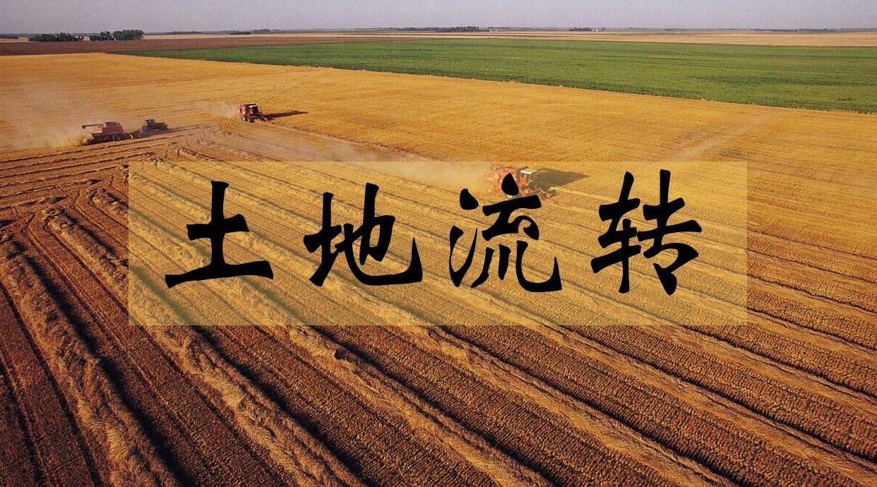 土地流转承包法,土地承包法关于土地流转的规定