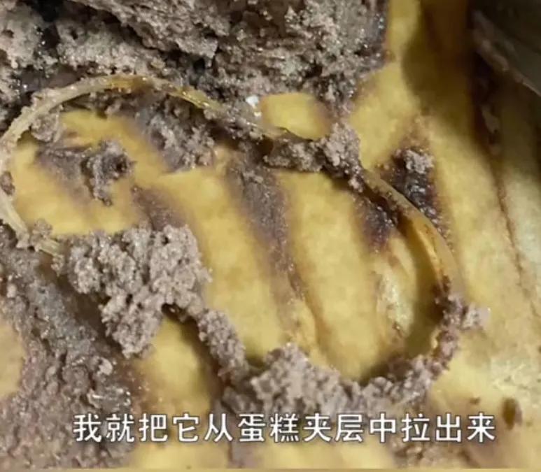 网红kumo蛋糕,kuko网红蛋糕