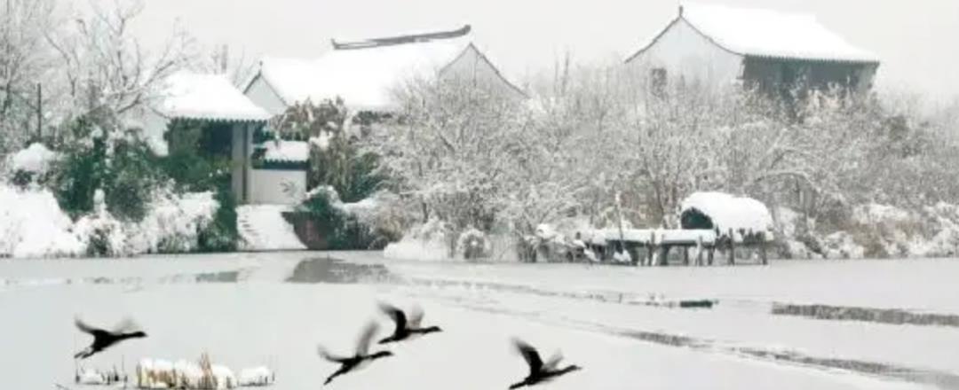 春天的潺潺溪水,春天的顶流