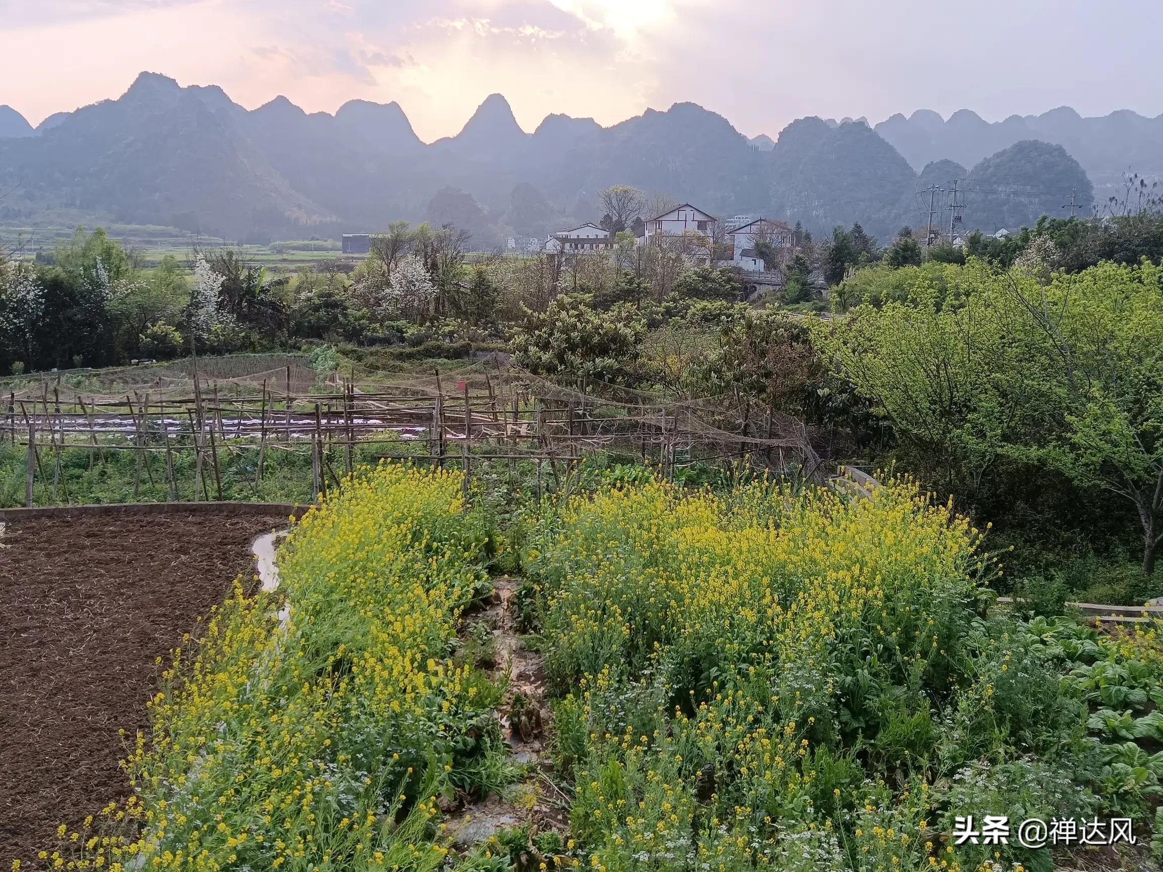 贵州深度旅游自由行,贵州旅游深山攻略