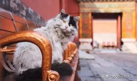 北京故宫游玩攻略简单线路图,北京故宫游玩攻略app