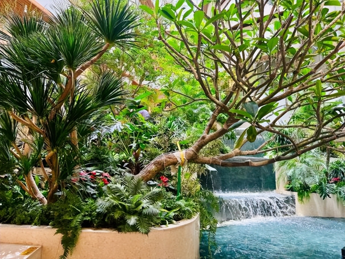 2023最吸引年轻人的商业项目,新项目2023最火项目排名