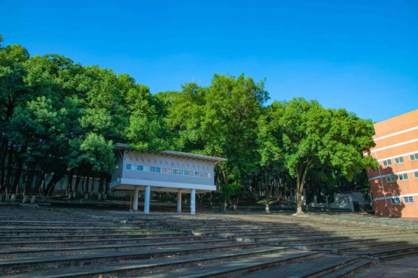 教育学专业排名第一院校,本科教育学专业排名