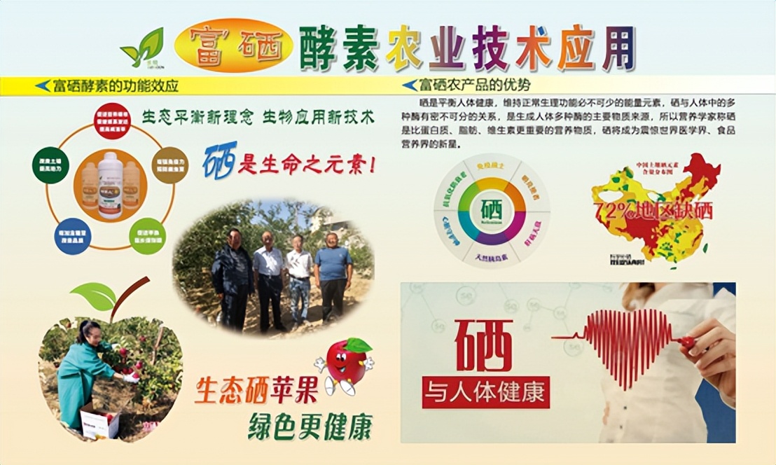 最火的果蔬酵素,富硒植物酵素的功效