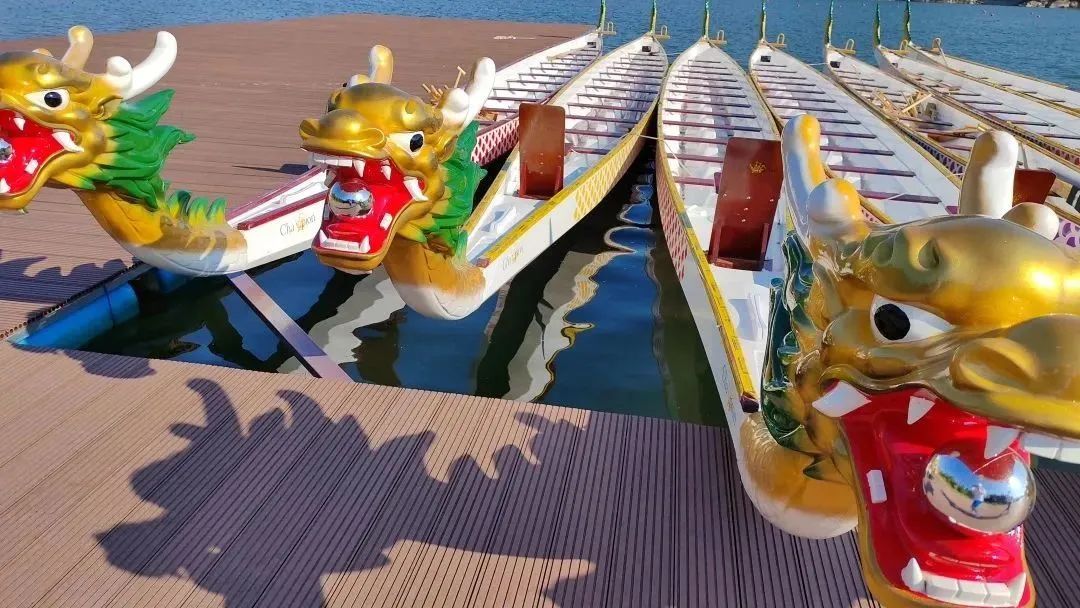 大连旅顺赛龙舟,大连赛龙舟几点开始