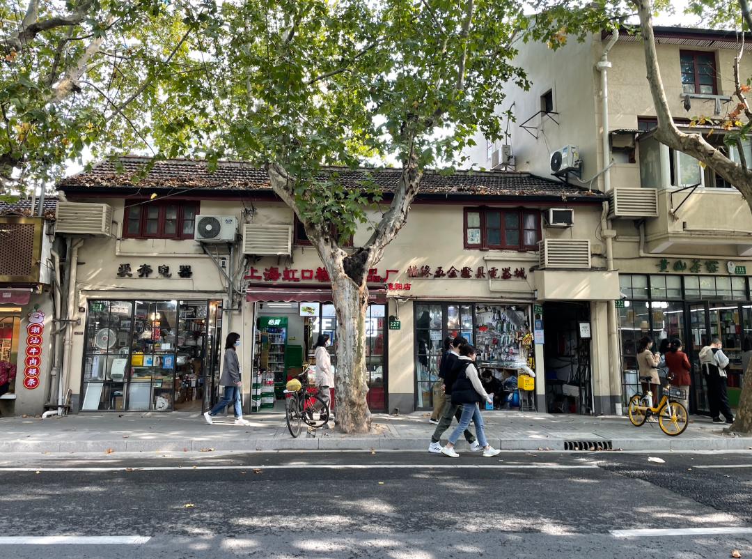 梧桐区的五金店,都是长久又顽强的存在